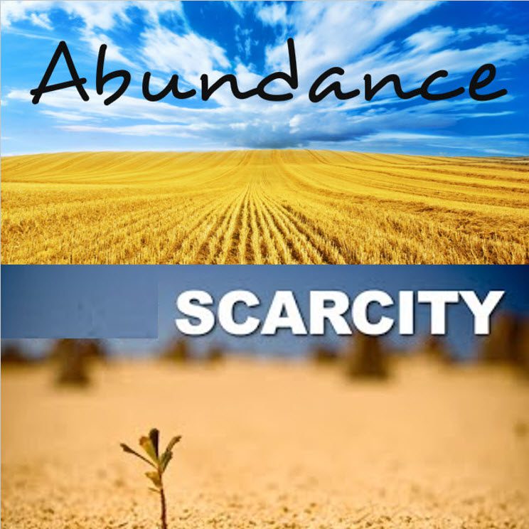 Image result for scarcity or abundance